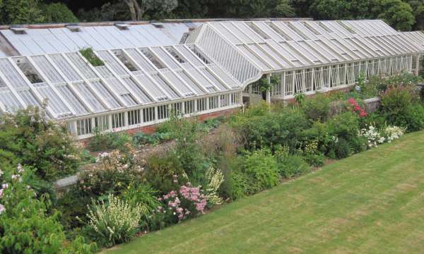 Greenhouses at Tregrehan Gardens