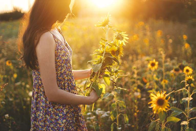 lady picking sunflowers