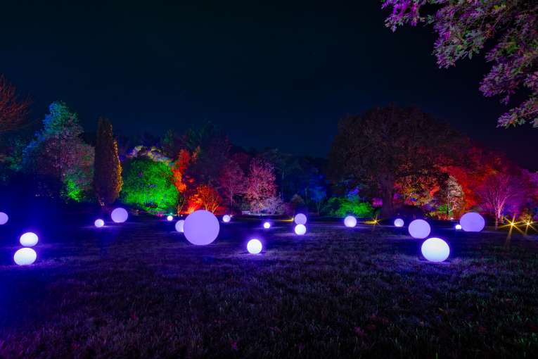 RHS Rosemoor Glow Nights
