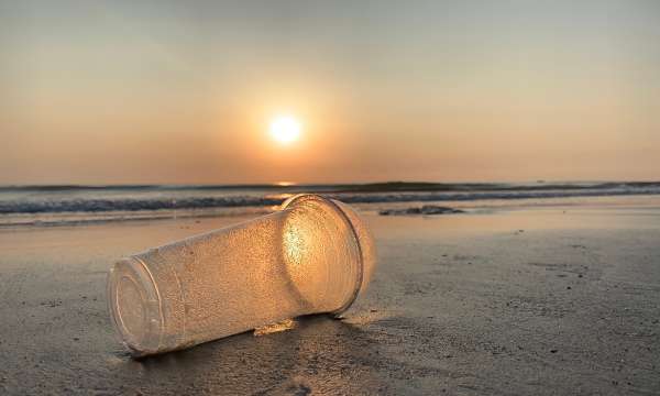 plastic cup on sunset beach