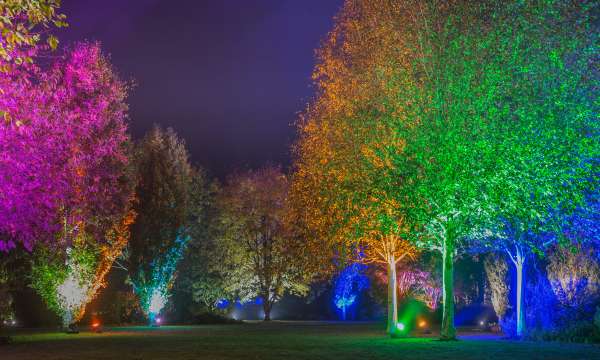 RHS Rosemoor Glow Nights