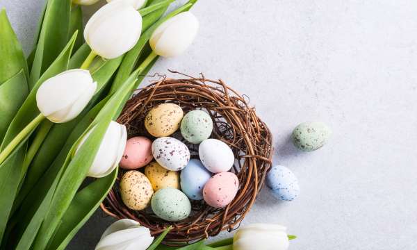 Easter at The Barnstaple Hotel