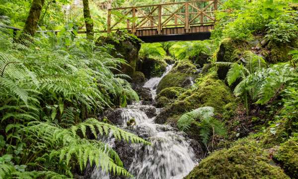 Canonteign Falls