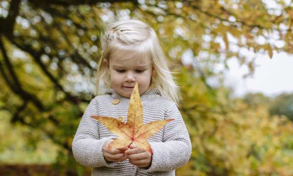 Young girl holding a leaf