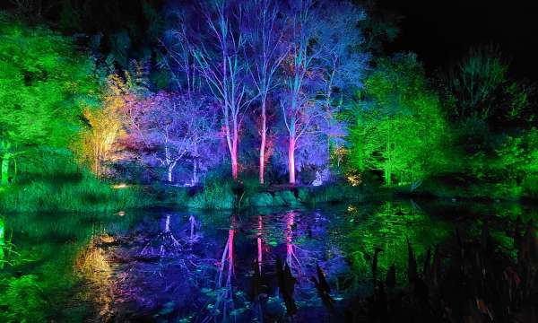RHS Rosemoor Glow Nights