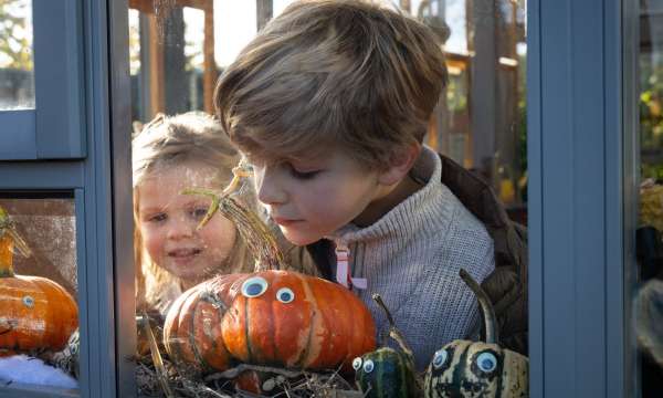 RHS Rosemoor The Secret Life of Pumpkins