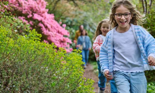 RHS Rosemoor Great Garden Game-a-thon