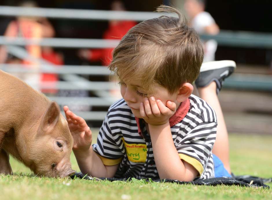 boy with little pig