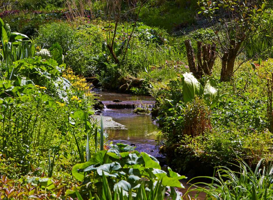 stream and gardens