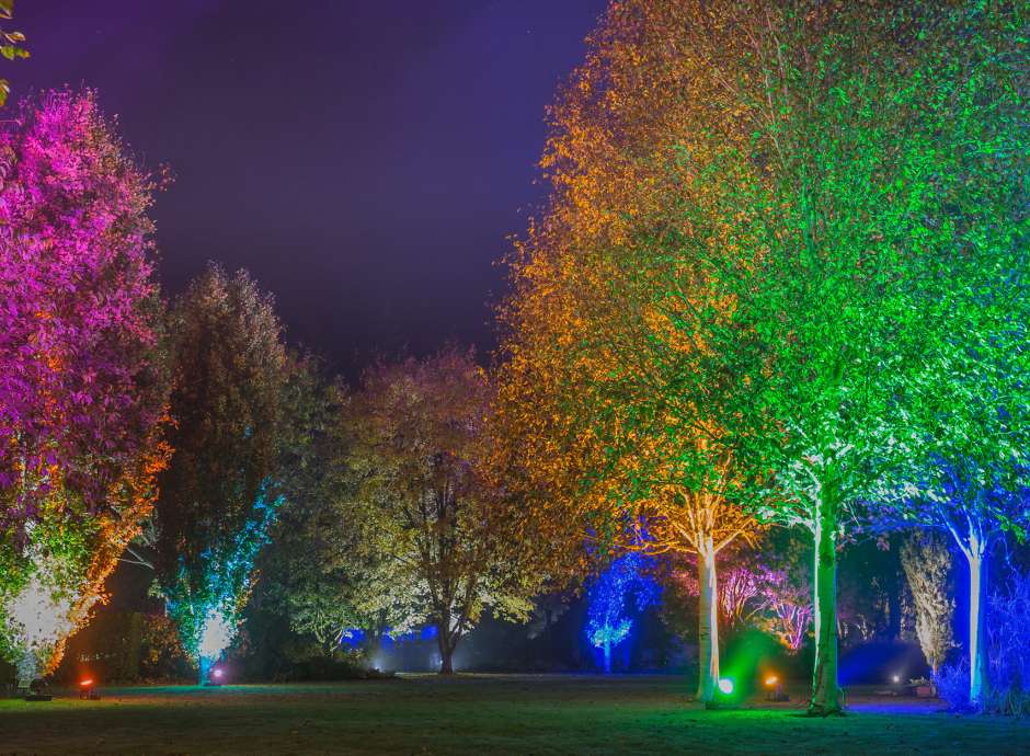 RHS Rosemoor Glow Nights