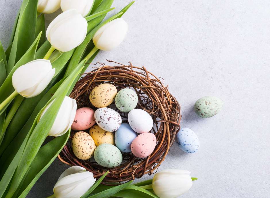 Easter at The Barnstaple Hotel