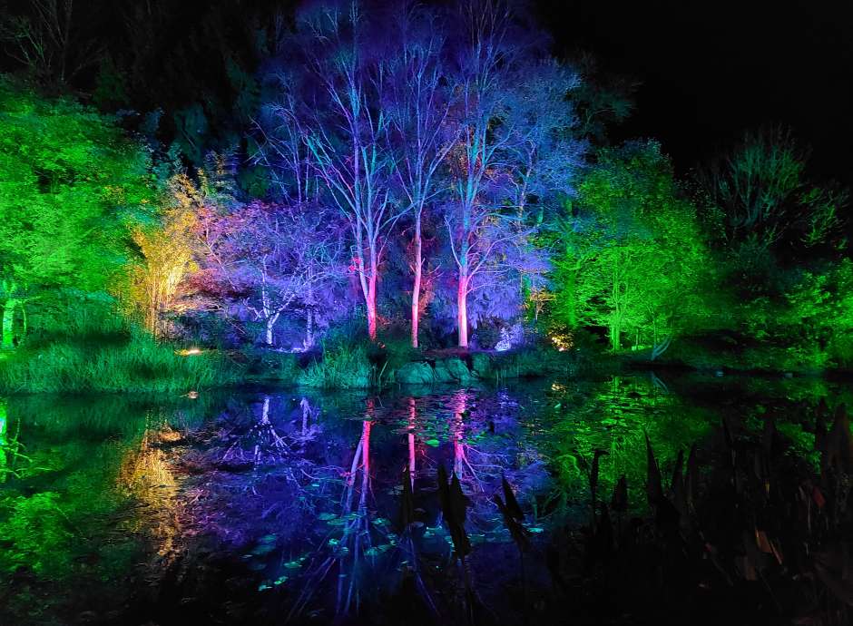 RHS Rosemoor Glow Nights