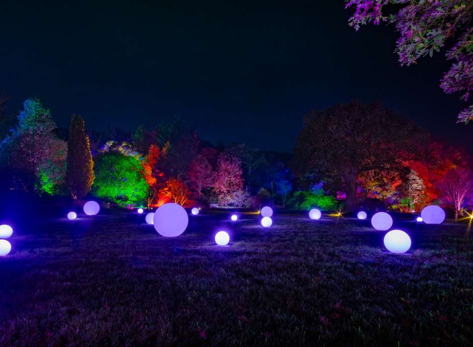 RHS Rosemoor Glow Nights
