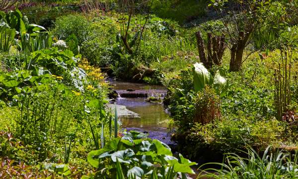 stream and gardens